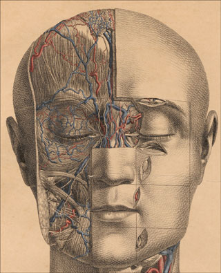 Introimage