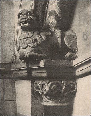 Introimage