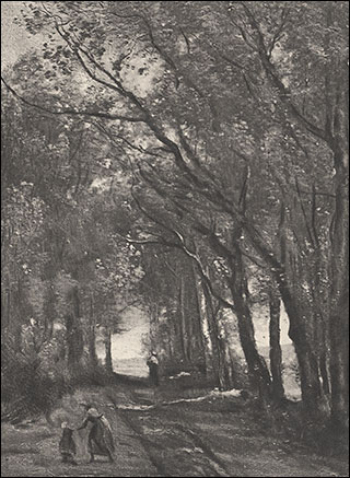 Introimage