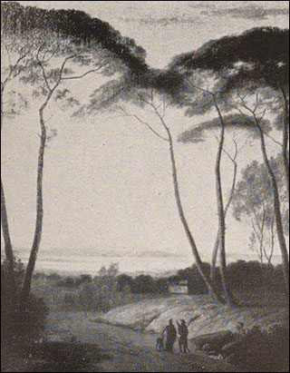 Introimage