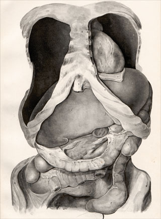 Introimage