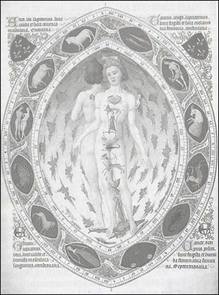 Introimage