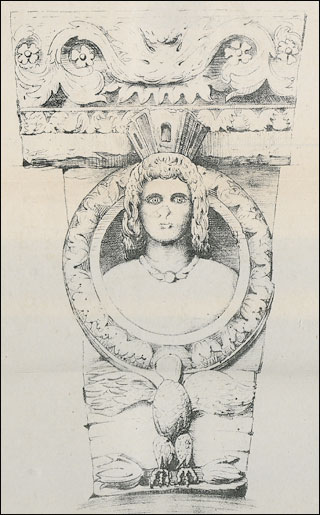 Introimage