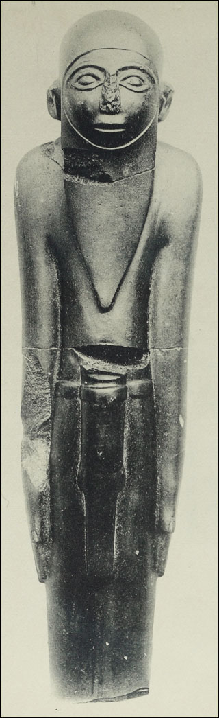 Introimage