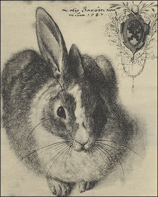 Introimage