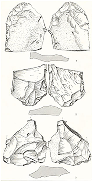 Introimage