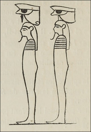 Introimage