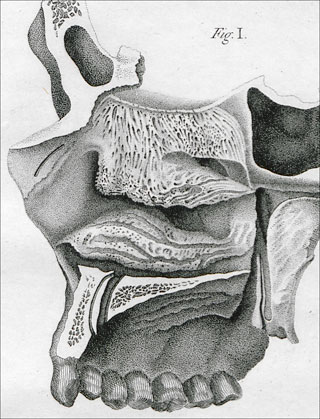 Introimage