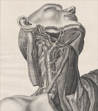 Introimage