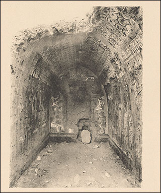 Introimage