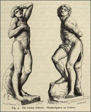 Introimage