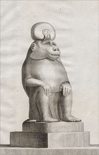 Introimage