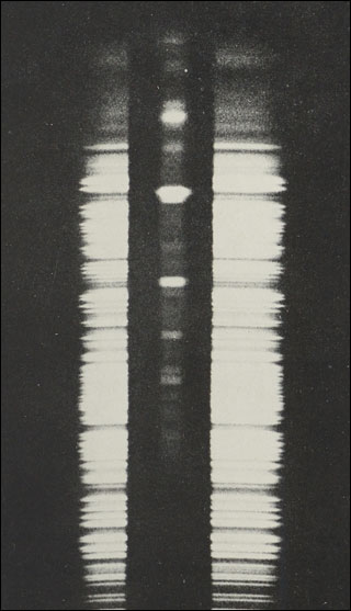 Introimage