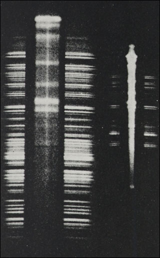 Introimage
