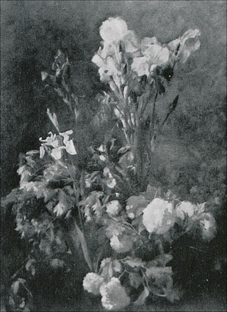 Introimage