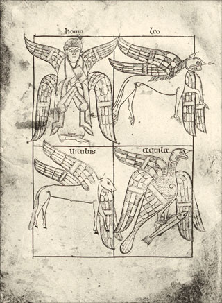 Introimage