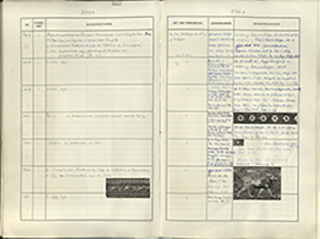 aufgeschlagenes Buch von oben mit handschriftlichen Einträgen und eingeklebten schwarz-weißen Fotos